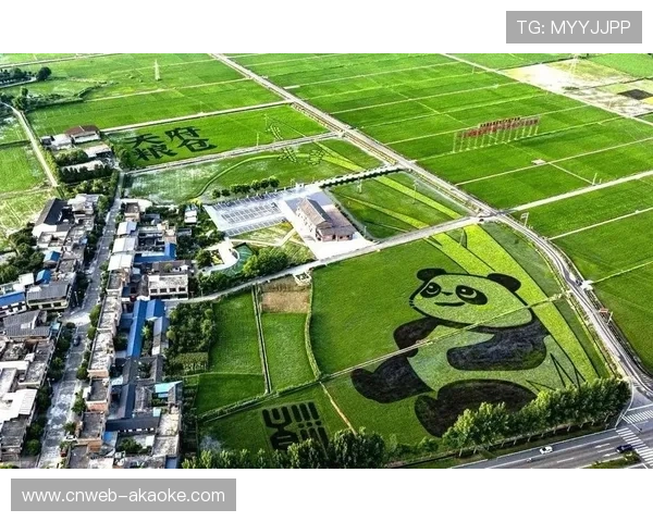 崔村镇通过赛事带动文旅农商融合，形成综合发展态势